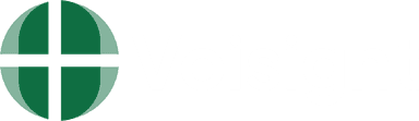 Voisight